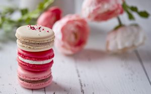 Preview wallpaper macarons, cookies, pink, dessert