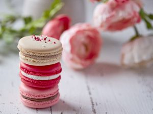 Preview wallpaper macarons, cookies, pink, dessert