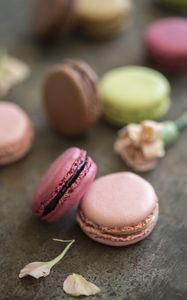 Preview wallpaper macarons, dessert, petals, food