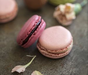 Preview wallpaper macarons, dessert, petals, food