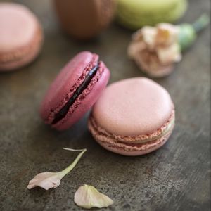 Preview wallpaper macarons, dessert, petals, food