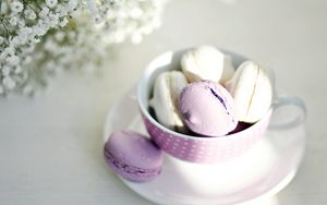 Preview wallpaper macaroon, cup, sweets, plate