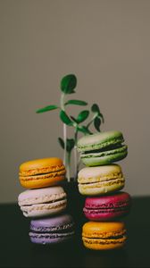 Preview wallpaper macaroons, almond biscuits, dessert, colorful