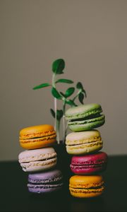 Preview wallpaper macaroons, almond biscuits, dessert, colorful