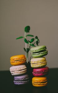 Preview wallpaper macaroons, almond biscuits, dessert, colorful