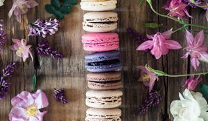 Preview wallpaper macaroons, cookies, flowers, colorful, leaves