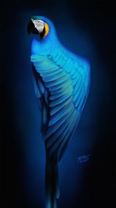 Preview wallpaper macaw, parrot, bird, blue, art