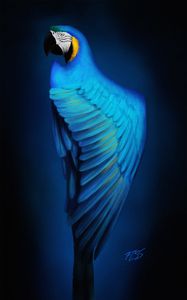 Preview wallpaper macaw, parrot, bird, blue, art