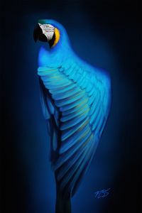 Preview wallpaper macaw, parrot, bird, blue, art