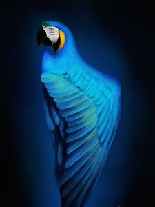 Preview wallpaper macaw, parrot, bird, blue, art