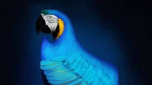 Preview wallpaper macaw, parrot, bird, blue, art