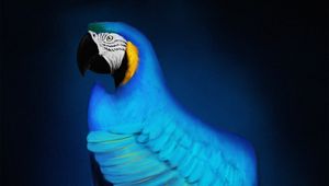 Preview wallpaper macaw, parrot, bird, blue, art