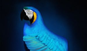 Preview wallpaper macaw, parrot, bird, blue, art