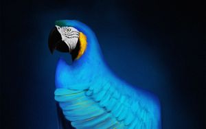 Preview wallpaper macaw, parrot, bird, blue, art