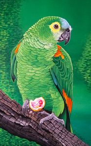 Preview wallpaper macaw, parrot, bird, bright, branch, art