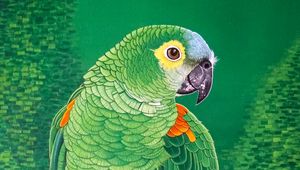 Preview wallpaper macaw, parrot, bird, bright, branch, art