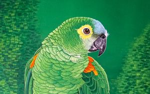 Preview wallpaper macaw, parrot, bird, bright, branch, art