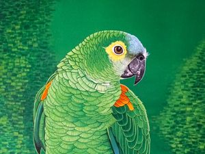 Preview wallpaper macaw, parrot, bird, bright, branch, art