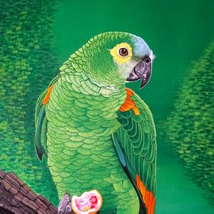 Preview wallpaper macaw, parrot, bird, bright, branch, art