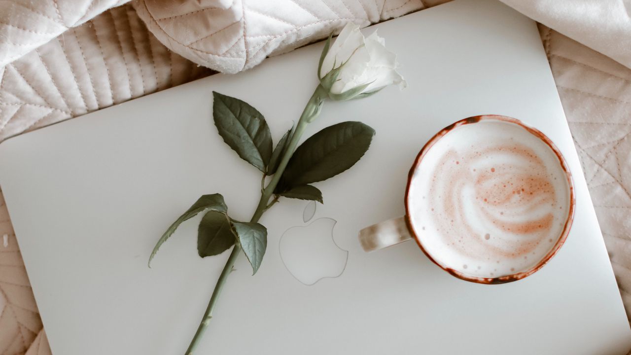 Wallpaper macbook, coffee, cup, rose, cloth