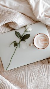 Preview wallpaper macbook, coffee, cup, rose, cloth