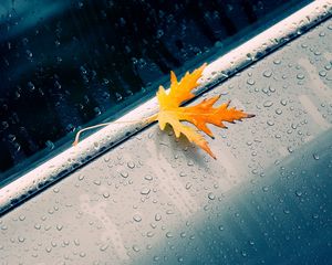 Preview wallpaper macro, autumn, leaf, yellow, drop, car