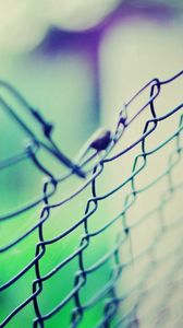 Preview wallpaper macro, mesh, fence, green, blue, light, background