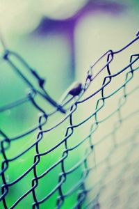 Preview wallpaper macro, mesh, fence, green, blue, light, background