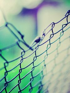 Preview wallpaper macro, mesh, fence, green, blue, light, background