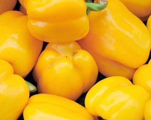 Preview wallpaper macro, pepper, yellow