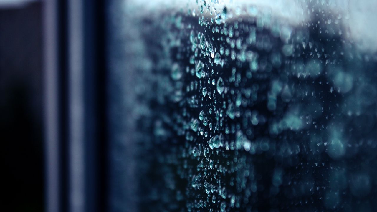 Wallpaper macro, surface, drop, rain, shadows
