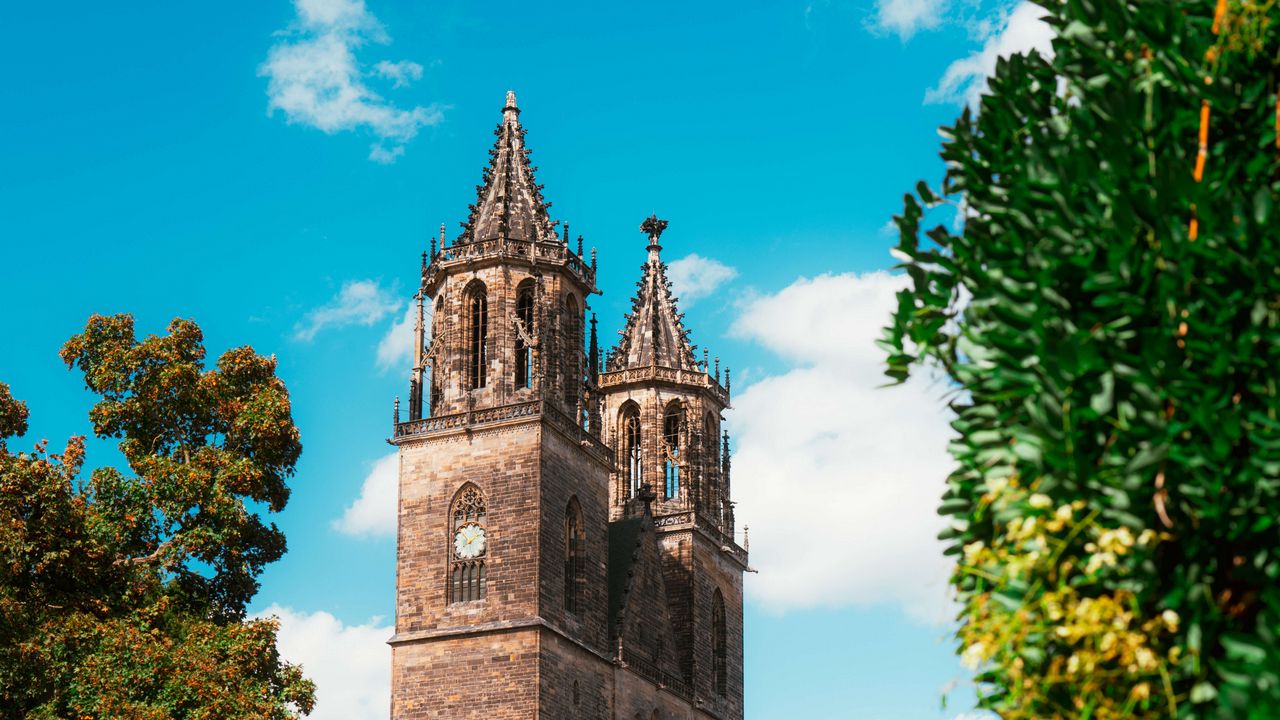 Wallpaper magdeburg cathedral, architecture, building, trees, greenery
