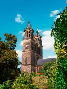 Preview wallpaper magdeburg cathedral, architecture, building, trees, greenery