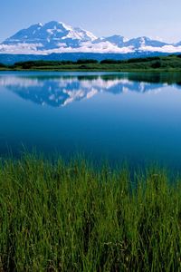 Preview wallpaper makkinlis lake, mountain, vegetation, alaska