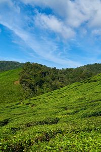 Preview wallpaper malaysia, tea plantations, sky
