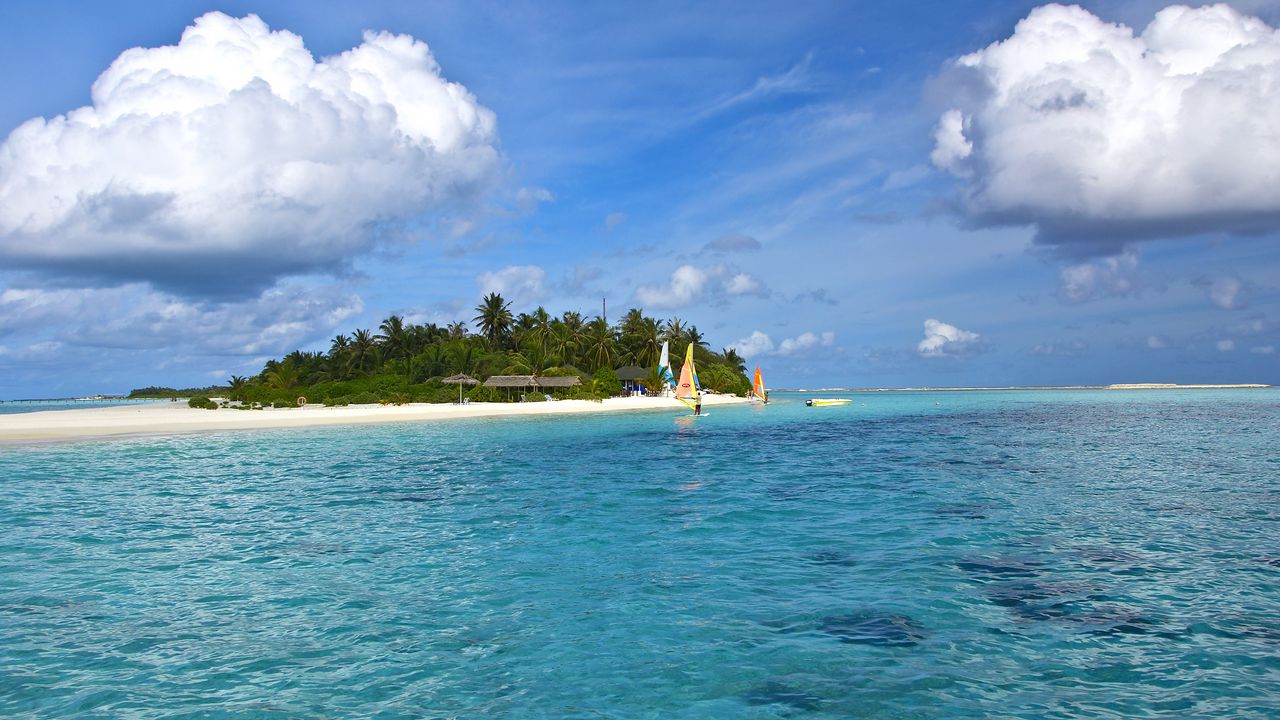 Wallpaper maldives, beach, tropical, sea, sand, palm trees, island
