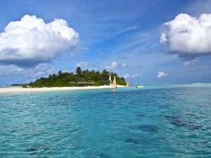 Preview wallpaper maldives, beach, tropical, sea, sand, palm trees, island