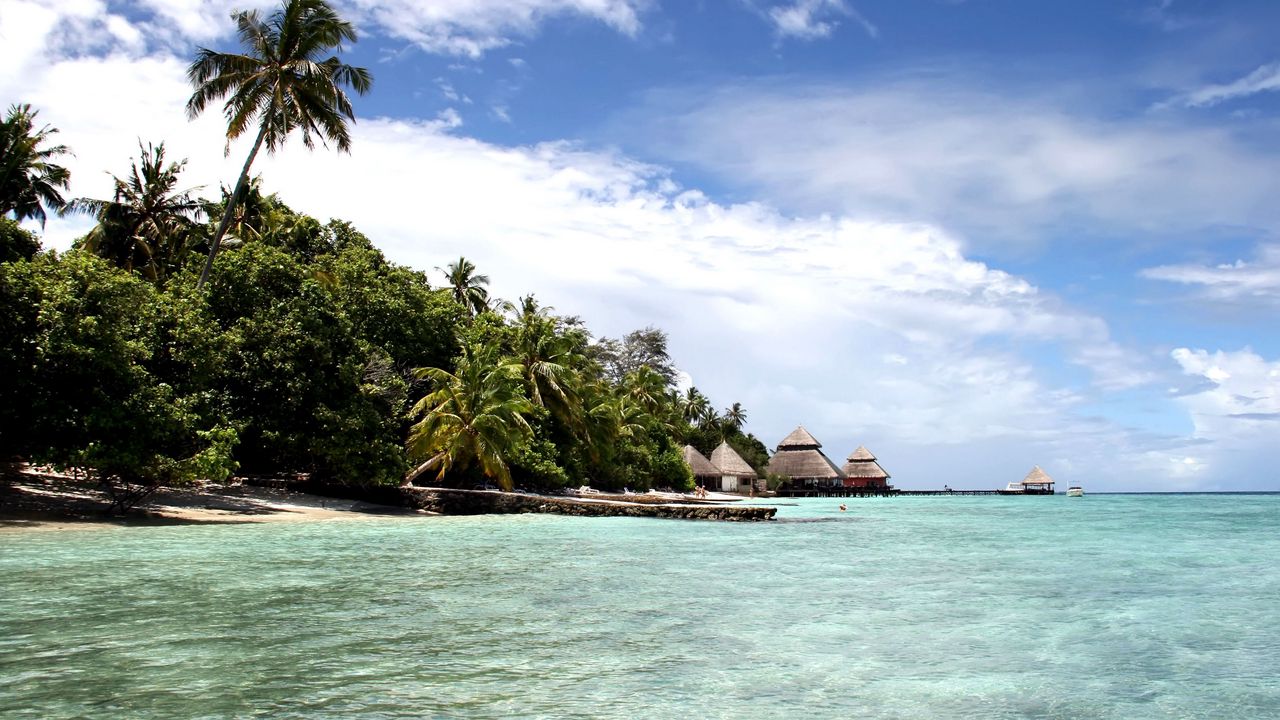 Wallpaper maldives, ocean, gulf, island, palm trees, coast