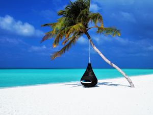 Preview wallpaper maldives, palm, beach, relax, rest, ocean, sand, resort