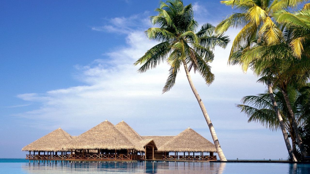 Wallpaper maldives, resort, palm trees, arbors, water, sky