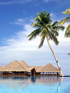 Preview wallpaper maldives, resort, palm trees, arbors, water, sky