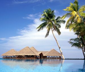 Preview wallpaper maldives, resort, palm trees, arbors, water, sky