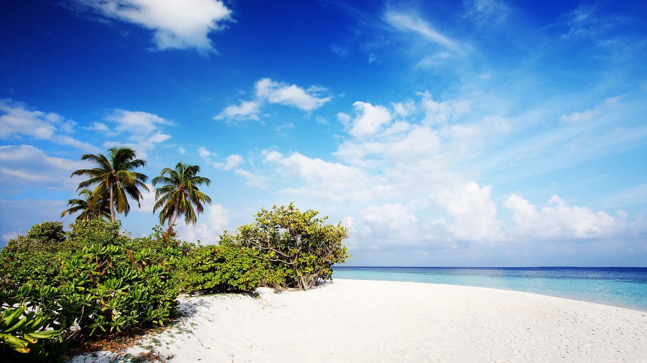 Wallpaper maldives, sand, beach, palm trees