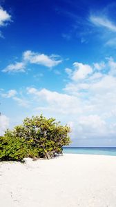 Preview wallpaper maldives, sand, beach, palm trees