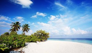 Preview wallpaper maldives, sand, beach, palm trees