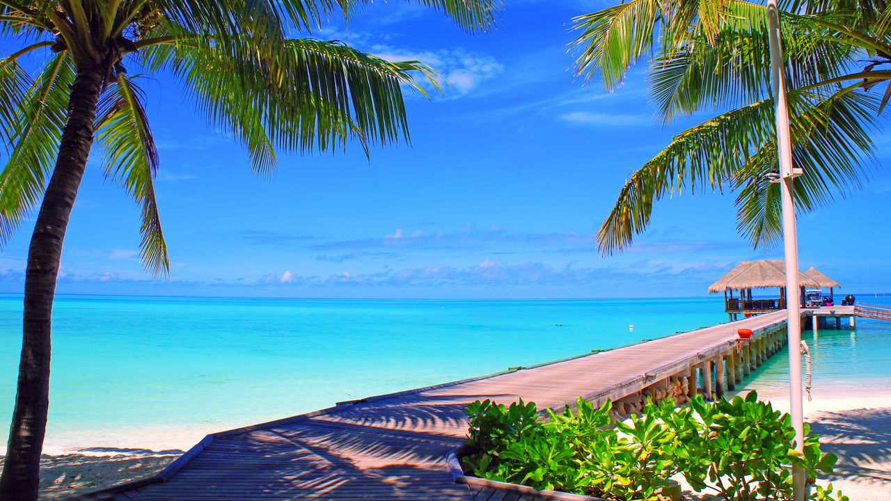 Wallpaper maldives, sky, clouds, island, palm trees, bungalows, sea, ocean
