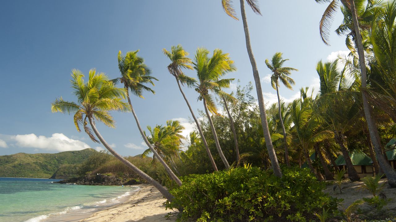 Wallpaper maldives, tropical, beach, palm trees