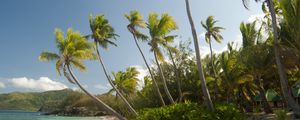 Preview wallpaper maldives, tropical, beach, palm trees