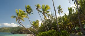 Preview wallpaper maldives, tropical, beach, palm trees