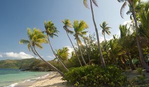 Preview wallpaper maldives, tropical, beach, palm trees